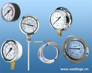 THERMOMETER AND PRESSURE GAUGE 