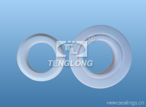 PEROLO 1.5INCH BALL VALVE SEAL.JPG